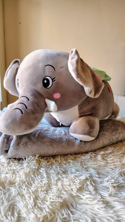 Peluche con manta - Elefante 