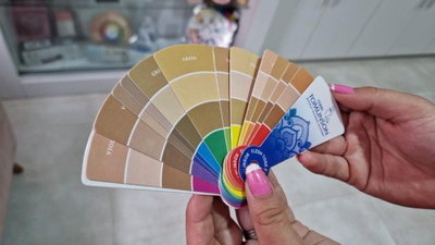 Terri Tomlinson Makeup Training Academy Flesh Tone Fan