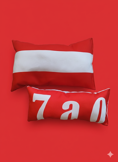 Set de almohadones - Estudiantes