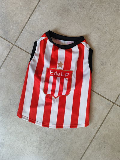 Camiseta para perro - Estudiantes