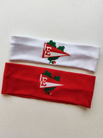 Vincha - Estudiantes - Infantil 