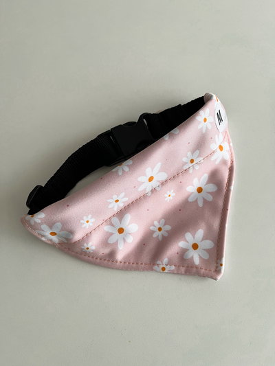 Bandana regulable con collar incluído talle M