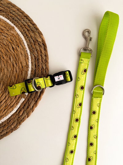 Collar talle M + Correa 1mt