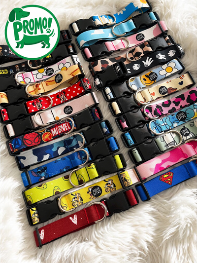 Collares regulables talle S