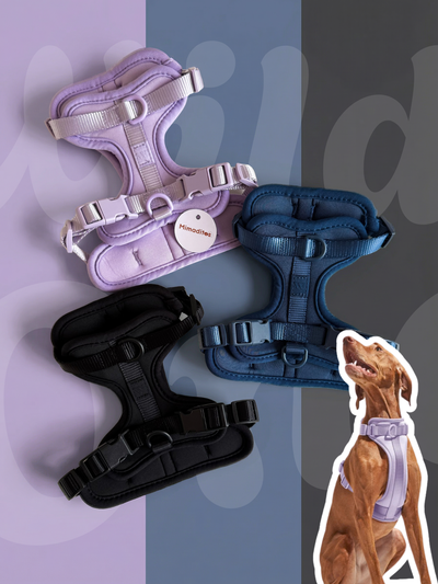 Arnes importado doble regulación