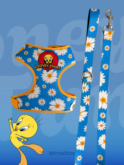 Conjunto pechera Looney Tunes + Correa 1mt