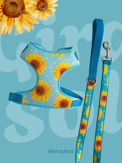 Conjunto pechera Girasol + Correa 1mt