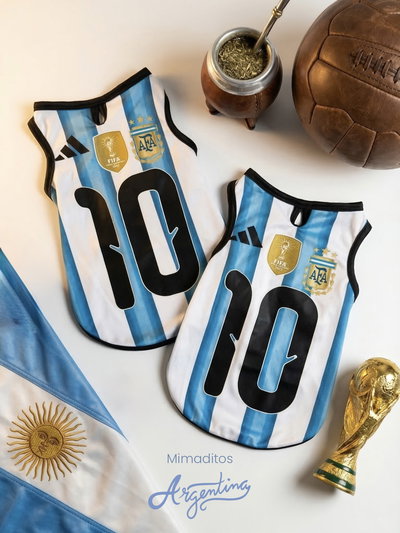 Remera Argentina 