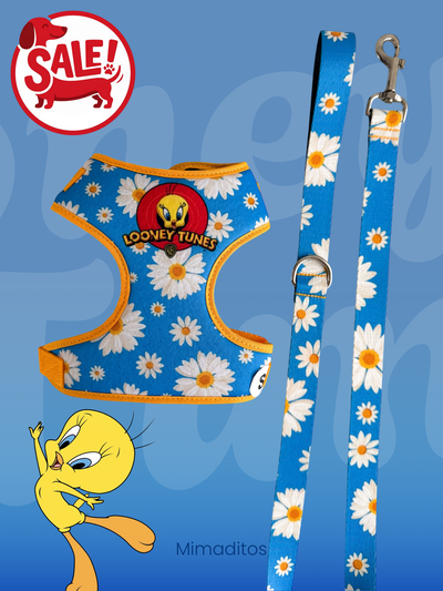 Conjunto pechera Looney Tunes + Correa 1mt