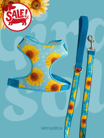 Conjunto pechera Girasol + Correa 1mt