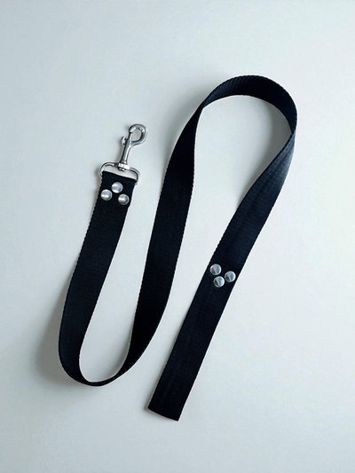 Correa reforzada nylon lisa 1,20mt x 4cm