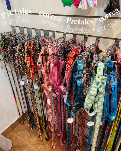 Conjuntos pretal regulable talle 1 + correa 1mt