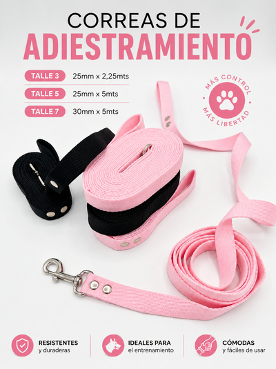 Correas de adiestramiento
