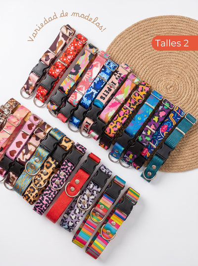 Collares regulables TALLE 2