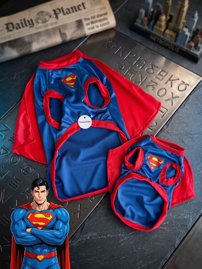 Disfraz Superman