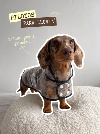 Pilotos de lluvia