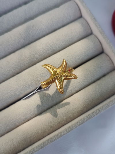 Anillo estrella de mar