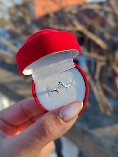 Anillo Salchi (ajustable)