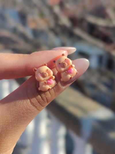 Aros pasantes Capibara