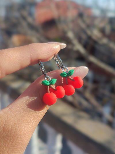 Argollitas Cerezitas m2