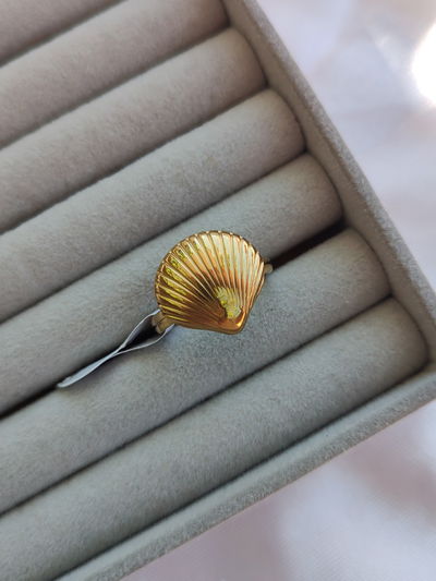 Anillo caracol de mar