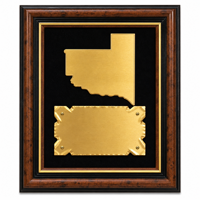 PLAQUETA 4000 N/1 SIN VIDRIO 17x21 cm 