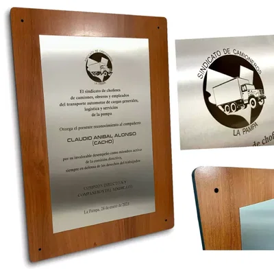 PLACA INTERIOR MADERA Y METALIZADO
