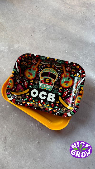 Bandeja Ocb Mini con Tapa