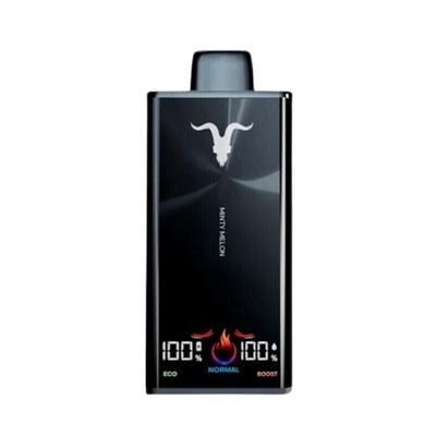 IGNITE V300(30000PUFFS🌬️)