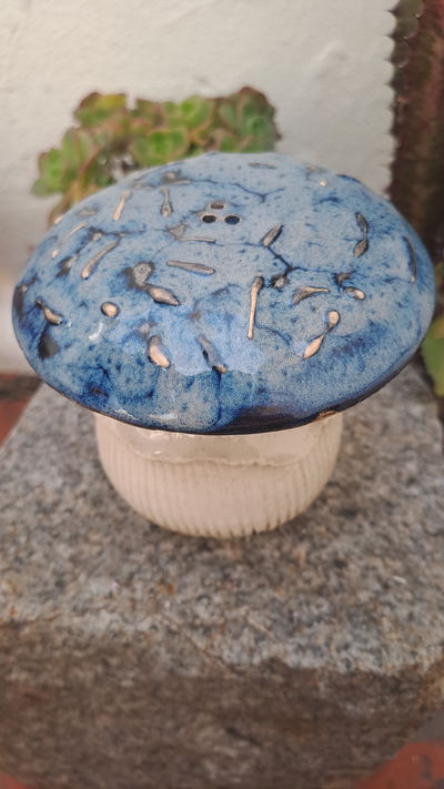 Salero Fungi con  tapa Rosca 