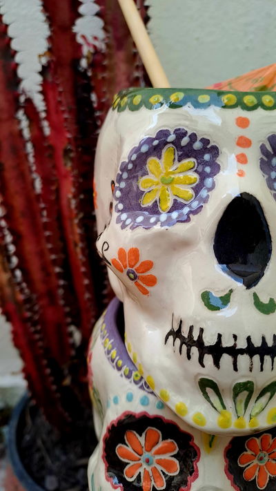 Vaso Calavera MX