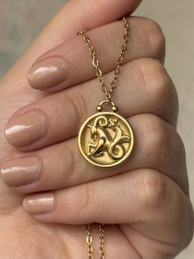 Collar Capricornio - Acero