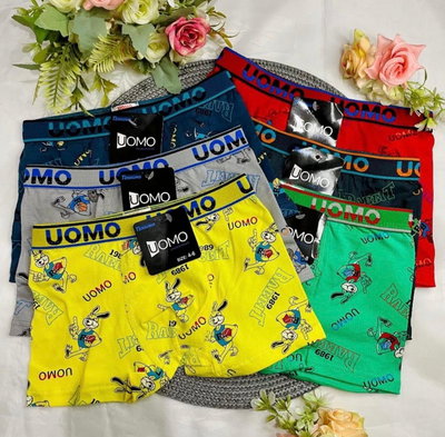 Boxer de Niño - Docena