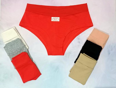 CULOTTES DE ALGODON XL-DOCENA