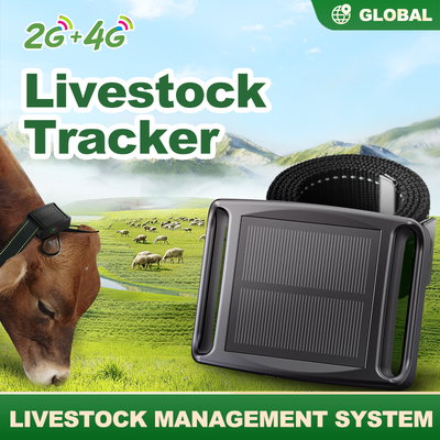 Rastreador Gps Mania-electronic Q19 Solar 15000 Mah Ganado