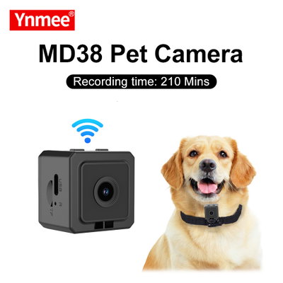 Camara Para Mascotas, Full Hd, Paseos, Seguimiento, Magnetica