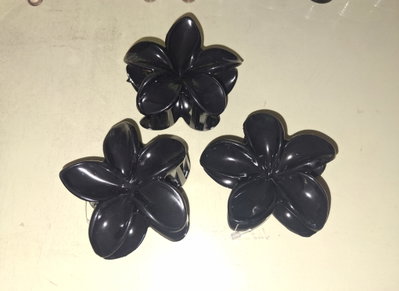 Broche de cabello HAWUAIANOS  ✨