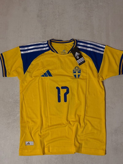 Suecia titular Mundial 2026