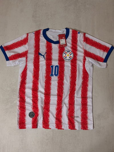 Selección Paraguay titular