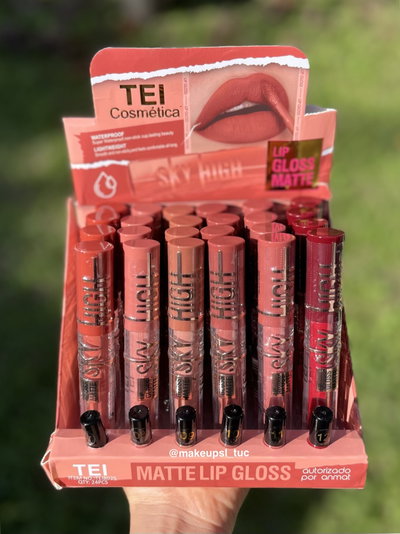 Labial liquido Tei Sky High Packx6