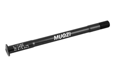 Eje pasante trasero 12x171mm M12x1.75