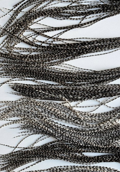 Combo x20 Plumas talampaya 