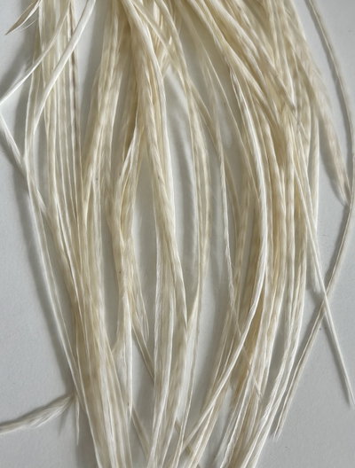 Combo x40 Plumas glaciares