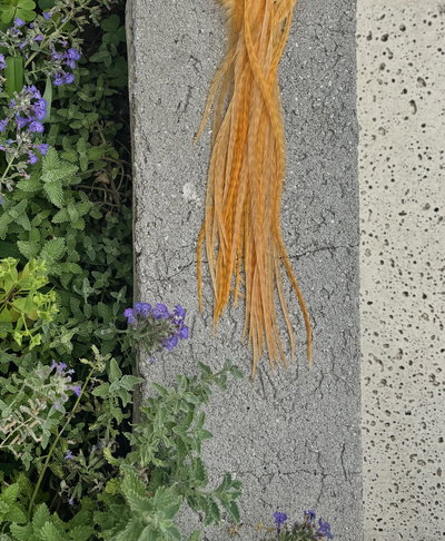 Plumita ✿ Monte leon 