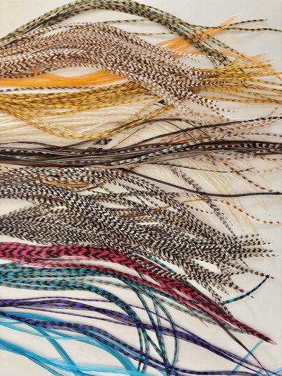 Combo x20 Plumas variadas