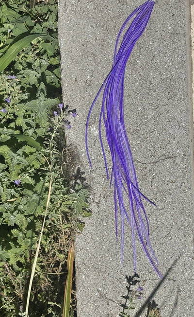 Plumita ✿ Traslasierra 