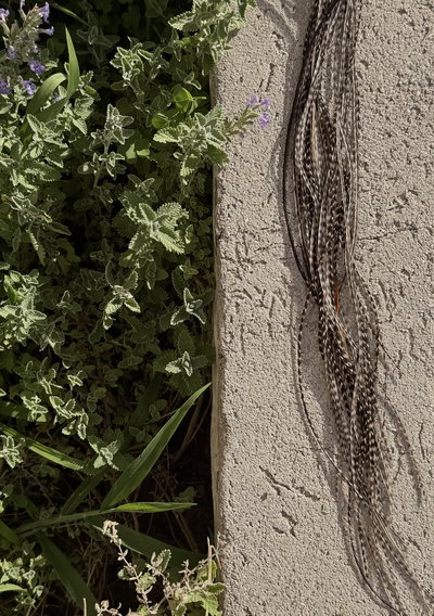 Plumita ✿ Perito moreno