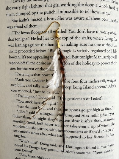 Aro plumita ❁ chic