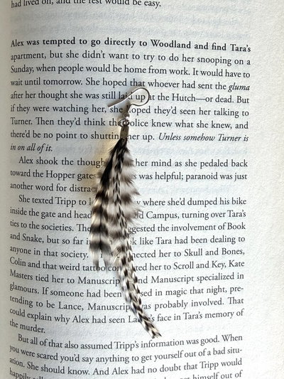 Aro plumita ❁ chic