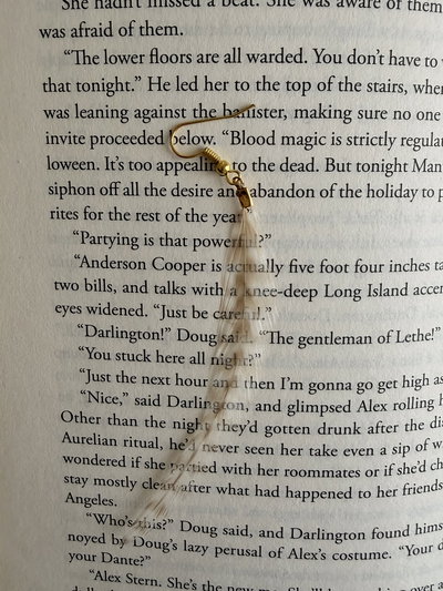 Aro plumita ❁ chic